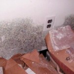 Can You Get Rid of Black Mold