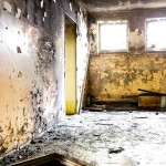What Effects of Exposure to Black Mold