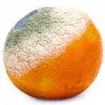 Green Mold Orange Dangerous to eat and your Health