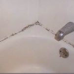 How To Get Rid Of Mold Around Tub