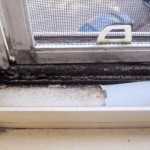 How To Clean Mold and Mildew From Window Sill