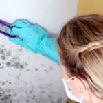 How to Get Rid and Remove Mold From Basement