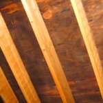 How To Get Rid Of Black Mold On Wood and Plywood