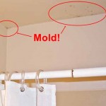How To Get Rid of Black Mold On Drywall