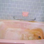 Pink Mold In Shower
